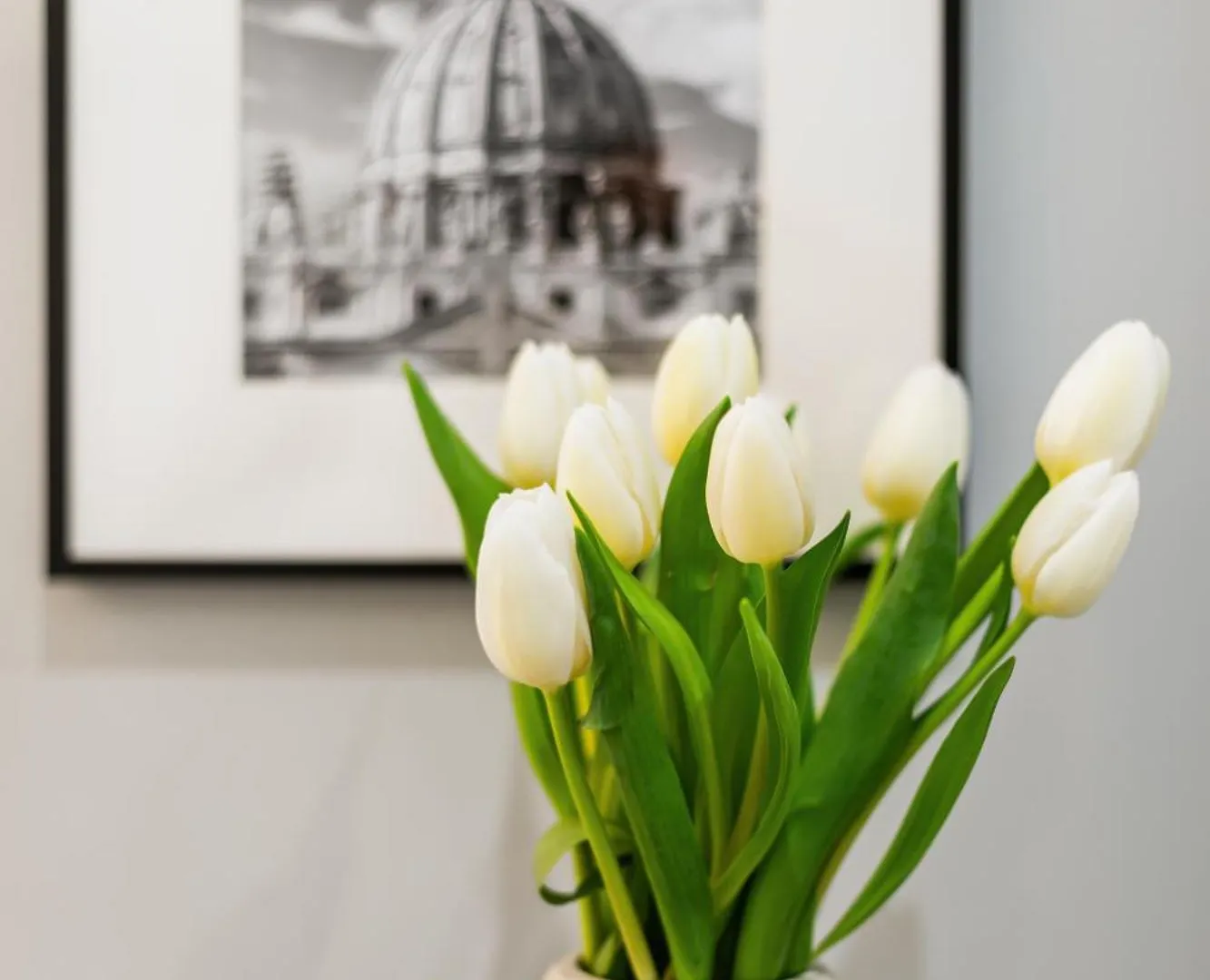 Affittacamere Homs Boutique Apartment Roma Italia